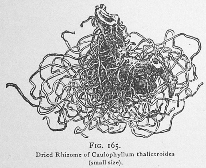 description of image